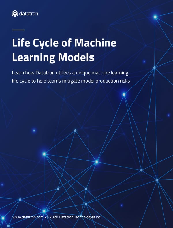 Whitepaper Download - Life Cycle Of Machine Learning Models - Datatron